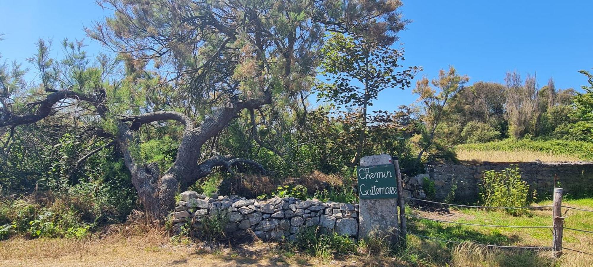 Relais Des Iles Saint Marcouf Villa Kültér fotó